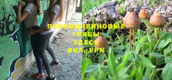 прущий лед Краснослободск