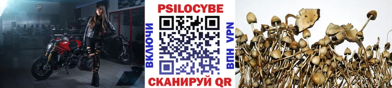 Купить где  Малаховка  Псилоцибиновые грибы GOLDEN TEACHER 